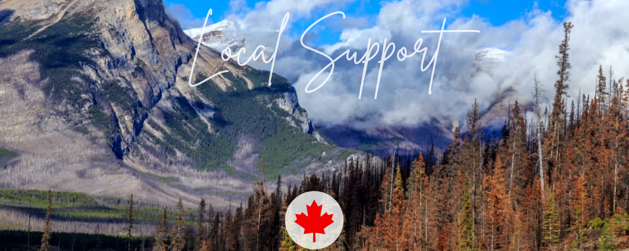 wizarPOS terminals, smart terminals, android pos, android terminals